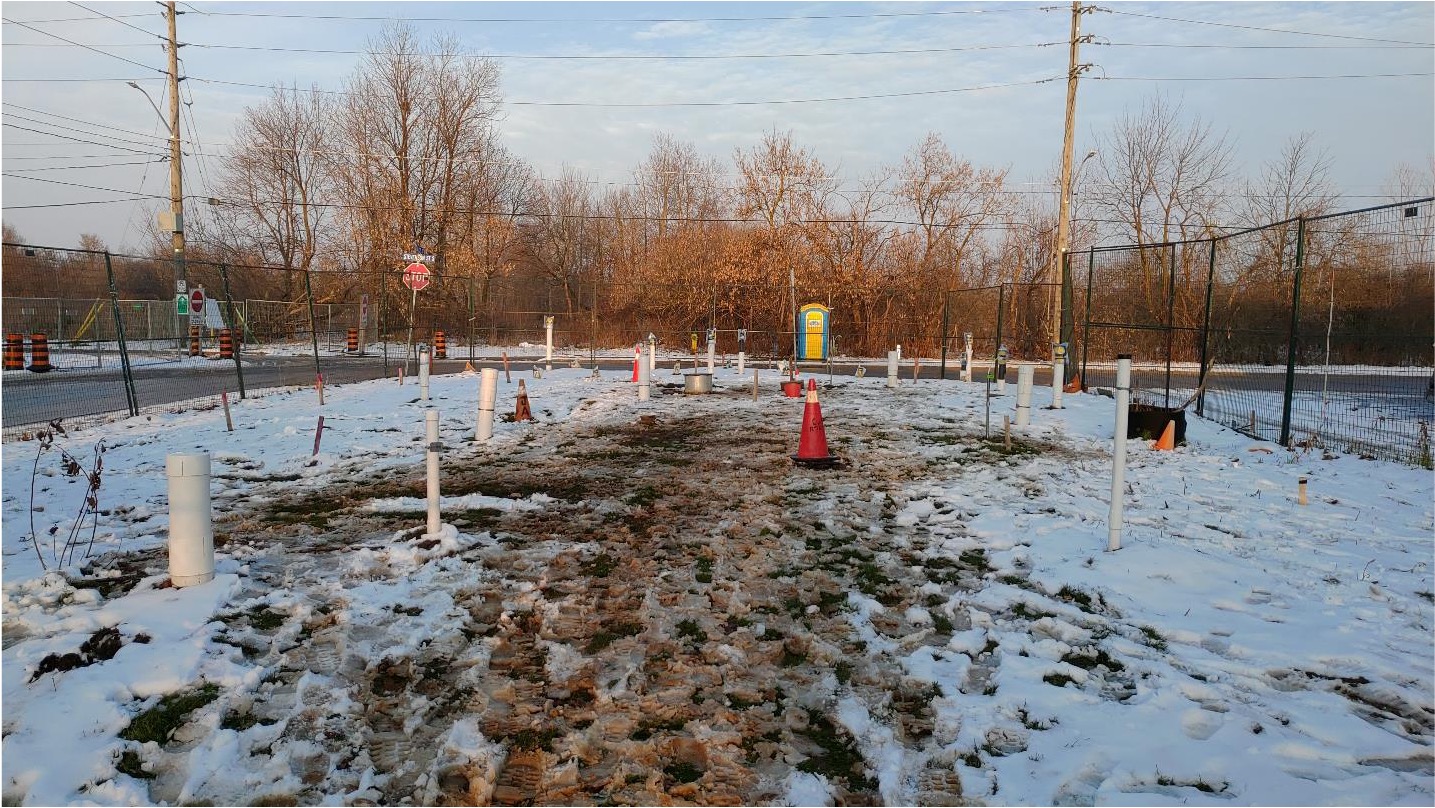 Посадка деревьев для ускорения очистки от толуола и высокоточный мониторинг результатов проекта